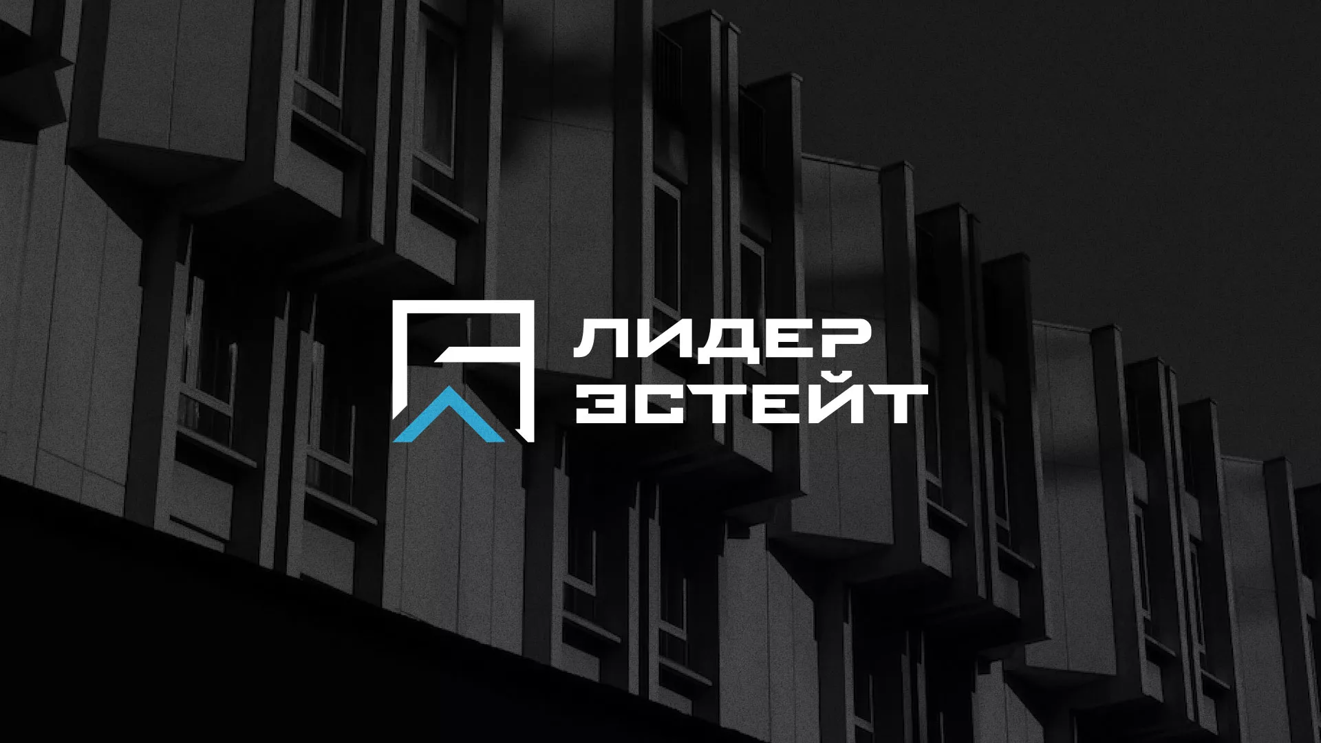 Разработка логотипа агентства недвижимости «Лидер Эстейт» в Алейске